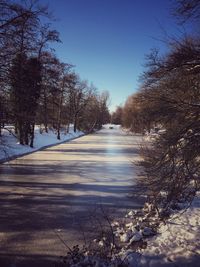 Snow covered road amidst trees against sky