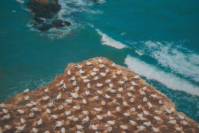 High angle view of rocks on beach