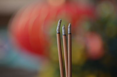 Close-up of burning incense sticks