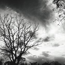 Low angle view of bare tree against cloudy sky