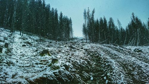 Scenic view of snow covered landscape