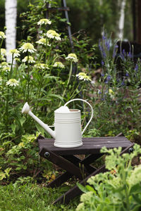 Close-up of coffee on field