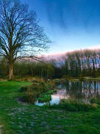 Scenic view of lake against clear sky