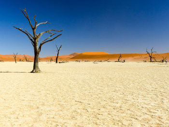 Scenic view of desert against clear sky