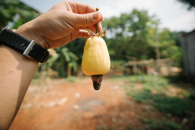 Capsule fruid close-up of hand holding pumpkin against blurred background 