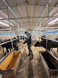 Low section of man walking on railroad track