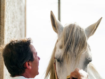 Man combing mane of horse