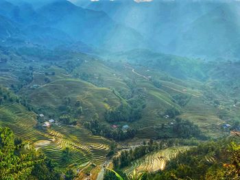 High angle view of agricultural field