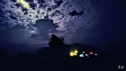 Trees against sky at night