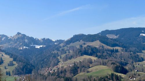 Panoramic shot of trees and buildings against sky