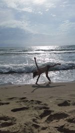 View of calm beach against the sky