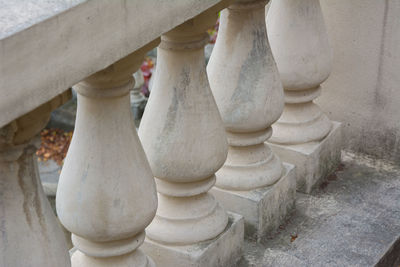 Close-up of potted plant