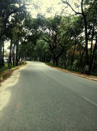 Empty road along trees