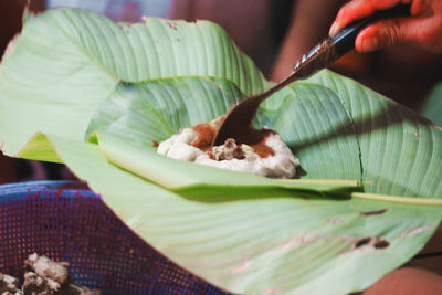 Close-up of hand holding food on banana leaf