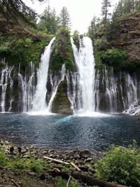 Scenic view of waterfall in forest