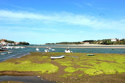 Scenic view of river against blue sky