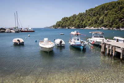 Sailboats moored in sea