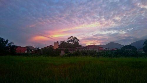 Scenic view of field against sky during sunset