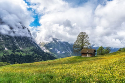 landscape