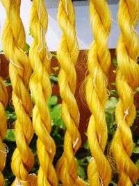 Full frame shot of yellow flowers