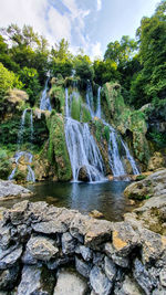 Scenic view of waterfall in forest