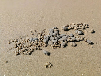 High angle view of footprints on sand at beach