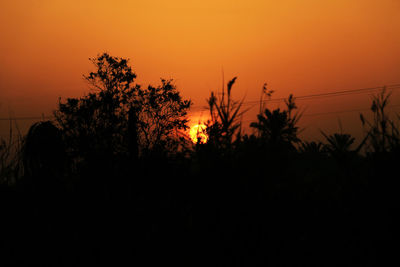Low angle view of silhouette tree against sky during sunset