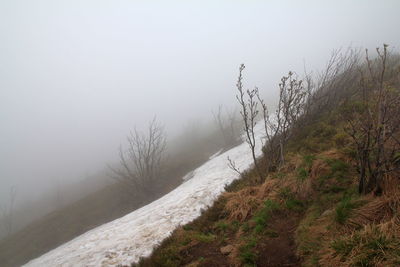 Scenic view of snow covered land against sky