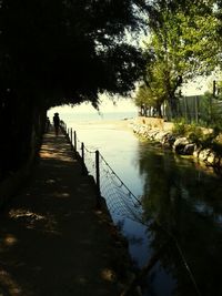 View of canal along trees