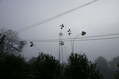 Low angle view of birds perching on cable against sky