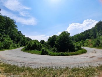 Road by trees against sky