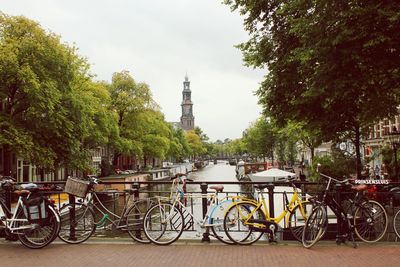 View of parked cars on road