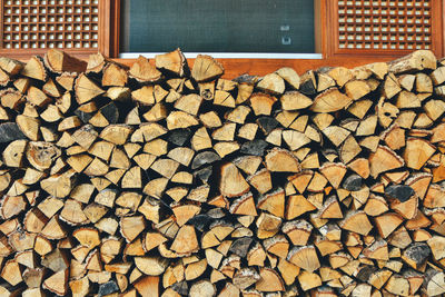 Stack of logs in forest