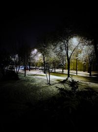 night