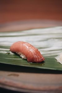 Close-up of fish on table