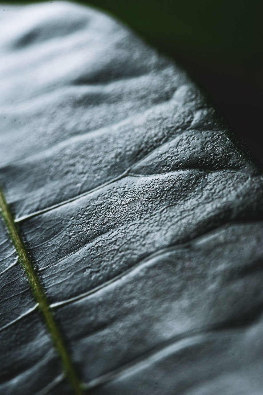 DETAIL SHOT OF WHITE TABLE