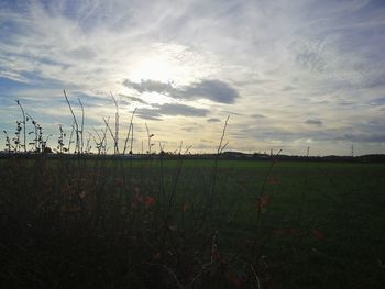 Scenic view of field against sky