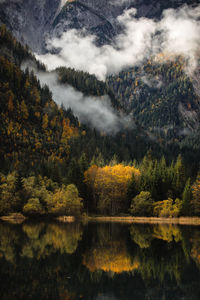 Scenic view of lake in forest during autumn