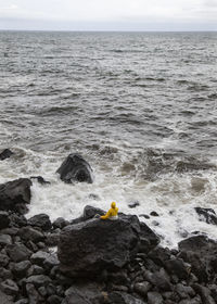 Young man on volcanic rock looking at sea, rocha da relva, san miguel island, azores, portugal