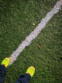 Low section of person standing on field