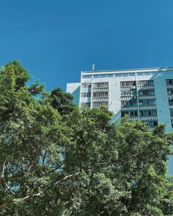 Low angle view of trees and buildings against clear blue sky