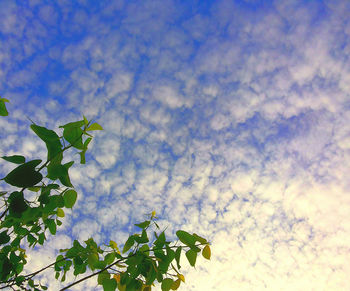 Low angle view of cloudy sky