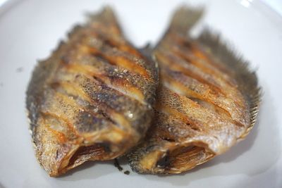 High angle view of fish on plate