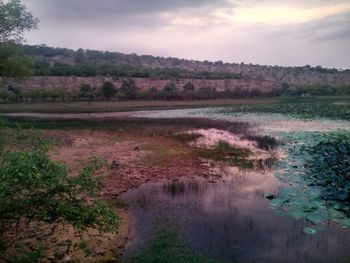 Scenic view of field against sky at sunset