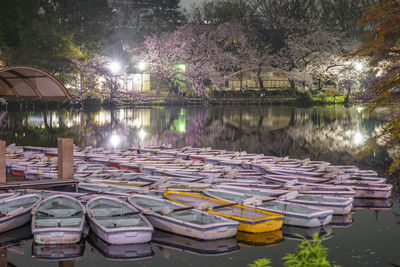 Boats moored in lake against trees