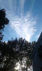 Low angle view of silhouette trees against sky