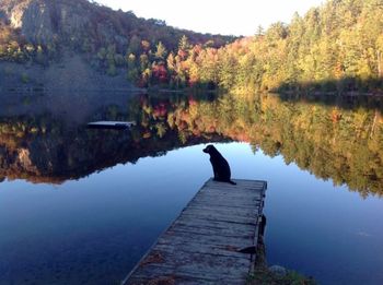 Scenic view of lake by trees against sky