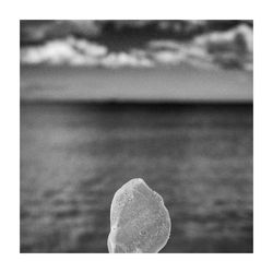 Close-up of sea shore against sky