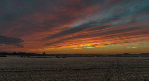 Scenic view of agricultural field against sky during sunset