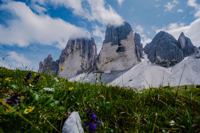 Panoramic shot of field against sky